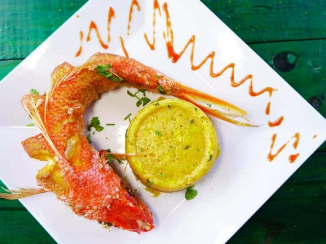 Delpin Sea Food Isabela 3